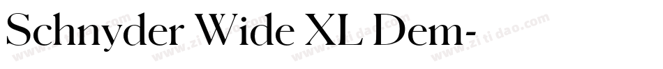 Schnyder Wide XL Dem字体转换